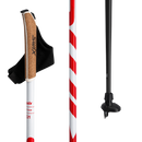 Swix Quantum 1 Poles 2025