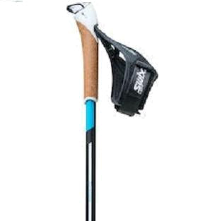 SALE POLES - Swix Q1, Q2 & Q3 2021 Poles - IN STORE ONLY