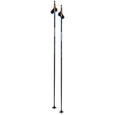 Swix Dynamic Two D2 Poles